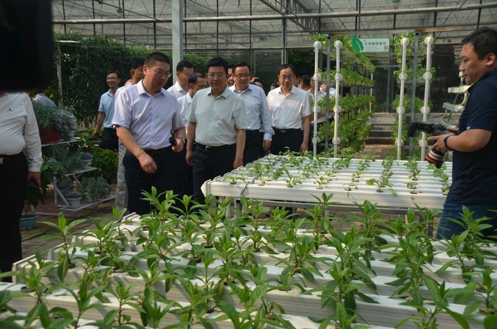 科技助農(nóng)，播撒光的種子  精準(zhǔn)扶貧，助力鄉(xiāng)村振興